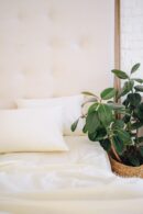 Matt poplin plain bedding (Milk shade)