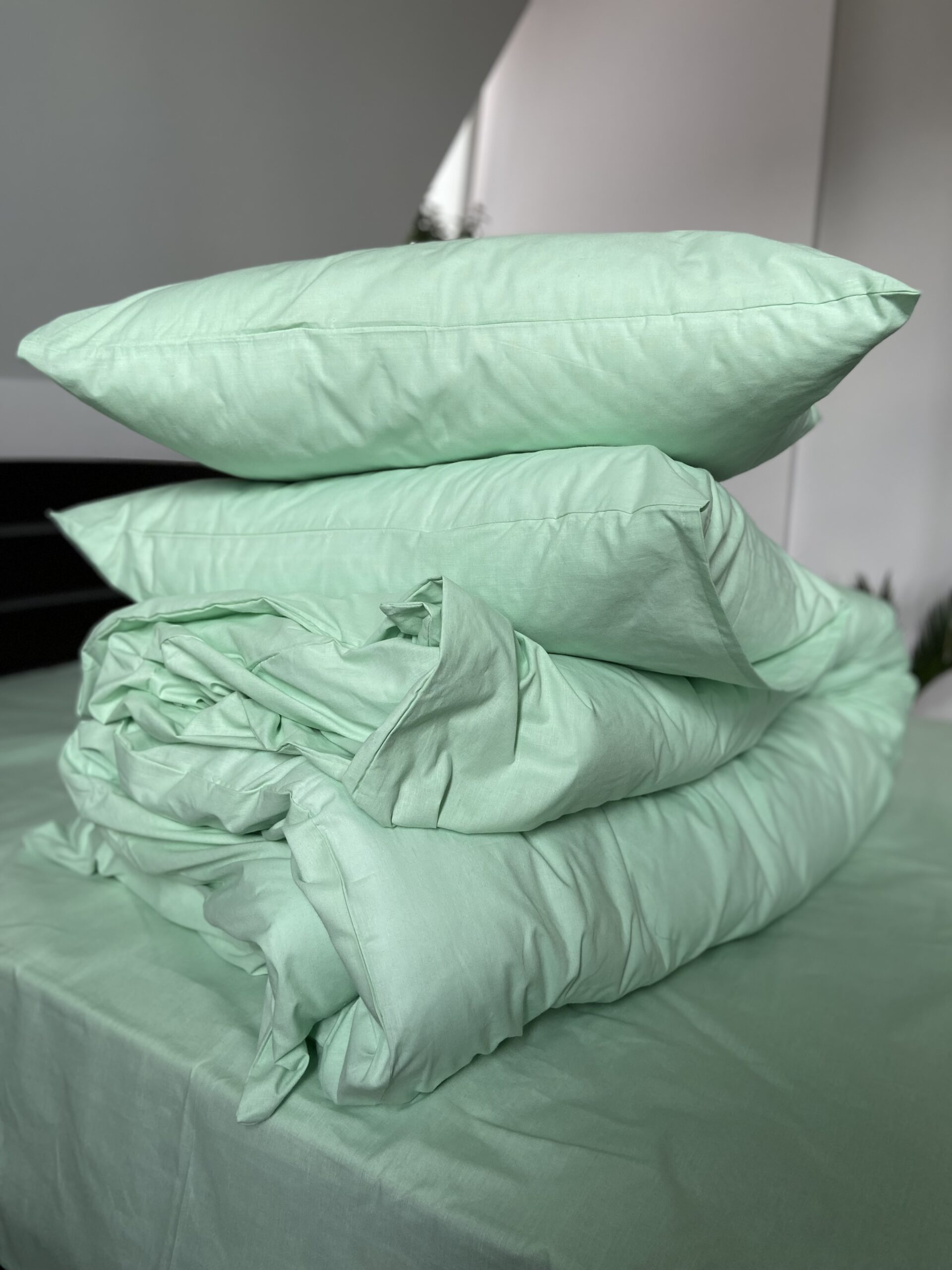 Постіль матовий поплін однотонний (Відтінок Мʼятний) - Зображення 5